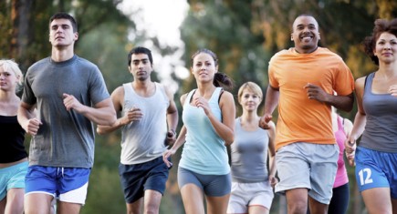 A group of runners in a cross country race.