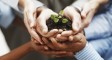 sustainable_growth_piccolo