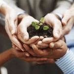 sustainable_growth_piccolo
