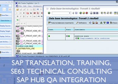 Consulenza e training su ambiente di traduzione SAP e Localizzazione SAP in SE63 o esternalizzata