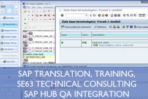 SE63 and STERM interfaces on SAP